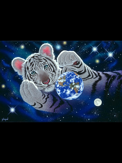 トラ 狼など A Hug For Mother の待ち受け画像 壁紙 動物 パラダイス