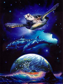ウミガメ 熱帯魚 タートル ドリーム アース の待ち受け画像 壁紙 動物 パラダイス
