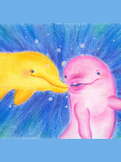 クジラ イルカ Love Love イルカ の待ち受け画像 壁紙 動物 パラダイス