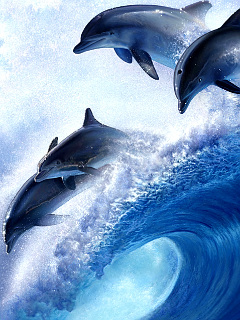 クジラ イルカ イントゥ ザ ブルー の待ち受け画像 壁紙 動物 パラダイス