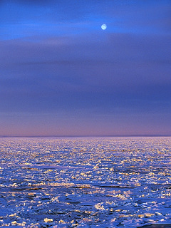大地の鼓動 月夜のと氷の海 の待ち受け画像 壁紙 動物 パラダイス