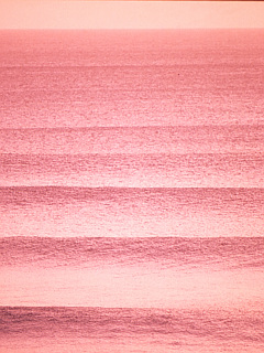 水のせせらぎ ピンクに染まる水面 の待ち受け画像 壁紙 動物 パラダイス