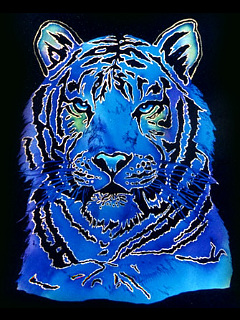 サファイア タイガー アイズ ユニーク の待ち受け画像 壁紙 動物 パラダイス