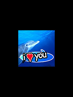 パロディ待受 イルカのi Love You の待ち受け画像 壁紙 動物 パラダイス