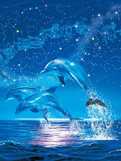 クジラ イルカ ゾディアック の待ち受け画像 壁紙 動物 パラダイス