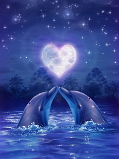 クジラ イルカ ムーンリット バレンタイン の待ち受け画像 壁紙 動物 パラダイス