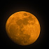 東空に現われたオレンジ色の月齢12.6
