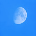 青空の月齢10.0