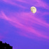 夕暮れ雲と月