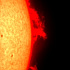 大爆発する太陽の大プロミネンス