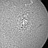 小フレアの発生が続く太陽面の2339黒点群