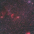 M35からモンキー星雲