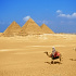 ギザのピラミッドとラクダ-エジプト-