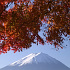 富士山と紅葉-日本-