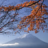 富士山と紅葉-日本-