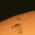 太陽の縁に現れた黒点群と白斑