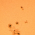 コアラ太陽黒点群