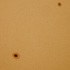 太陽面に現れた大小の黒点