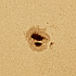 太陽面の単極黒点群1289
