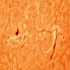 活発な太陽の大黒点群とプラージュ、ダークフェラメント