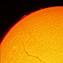 太陽黒点群に伸びるダークフェラメント