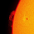 吹き上がる太陽の静穏型プロミネンス、プラージュ、黒点