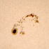 太陽の巨大黒点群1890