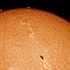 太陽の2177・2226・2222黒点群とプラージュ群