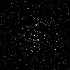 カニの泡の正体は散開星団・プレセペ