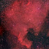 散光星雲/北アメリカ星雲