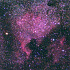 はくちょう座の北アメリカ星雲(NGC7000)