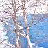 真冬の琵琶池風景