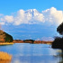 秋の田貫湖から望む雲海富士