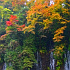 紅葉の白糸の滝