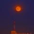 宵のヨコハマに昇る赤い満月