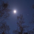 夜の白樺風景の冬月、木星、スピカ