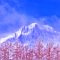 海ノ口高原から望む真冬の八ヶ岳雪景色